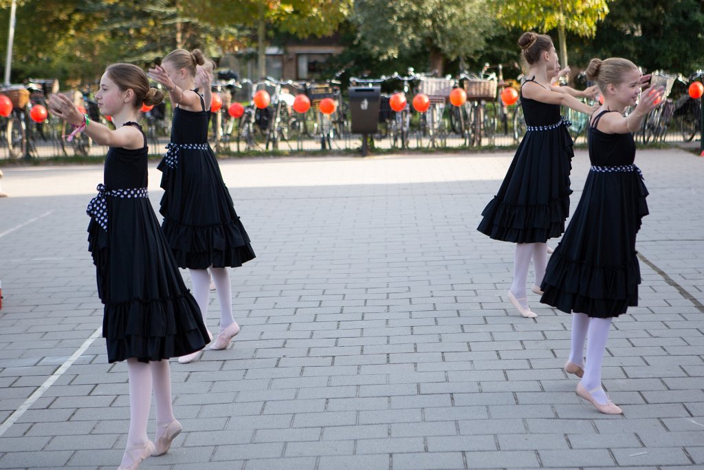 Schoolplein Festival A082.jpg